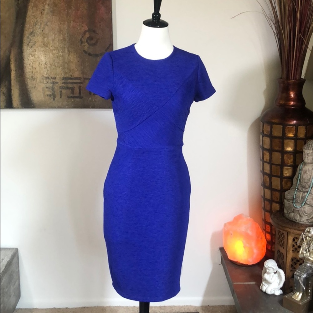 Ted Baker Dress - Workwear
